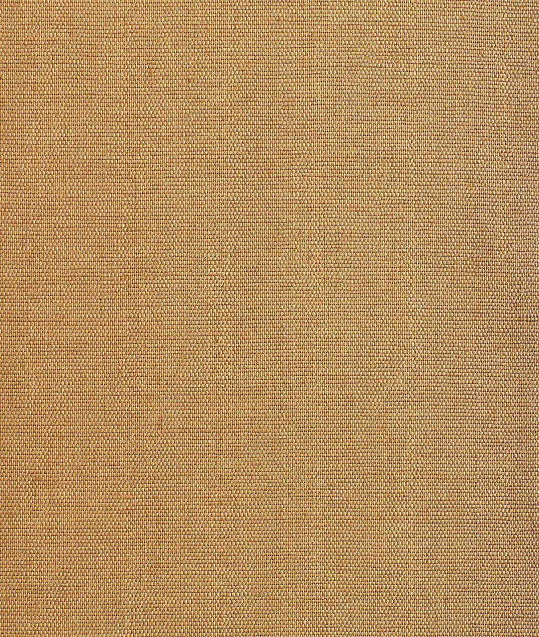 Обои для стен Dedar Didgeridoo 02D2300200006