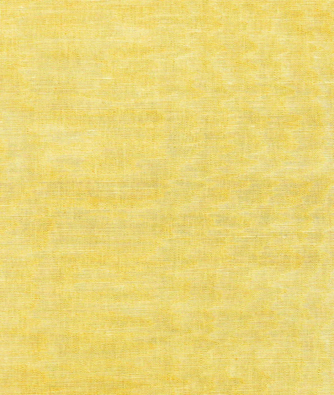 Обои для стен Dedar Moire Chanvre 02D2400200011