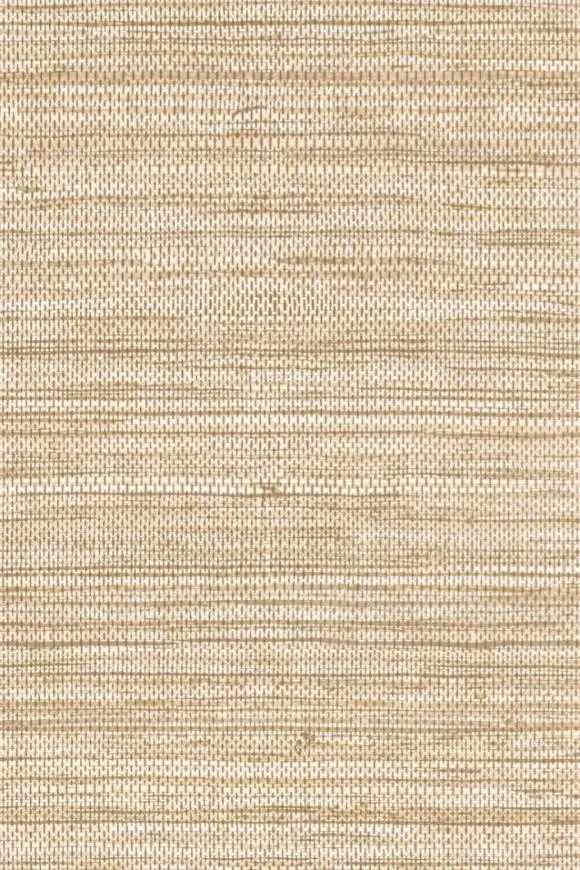Обои для стен Arte Pampas 73544