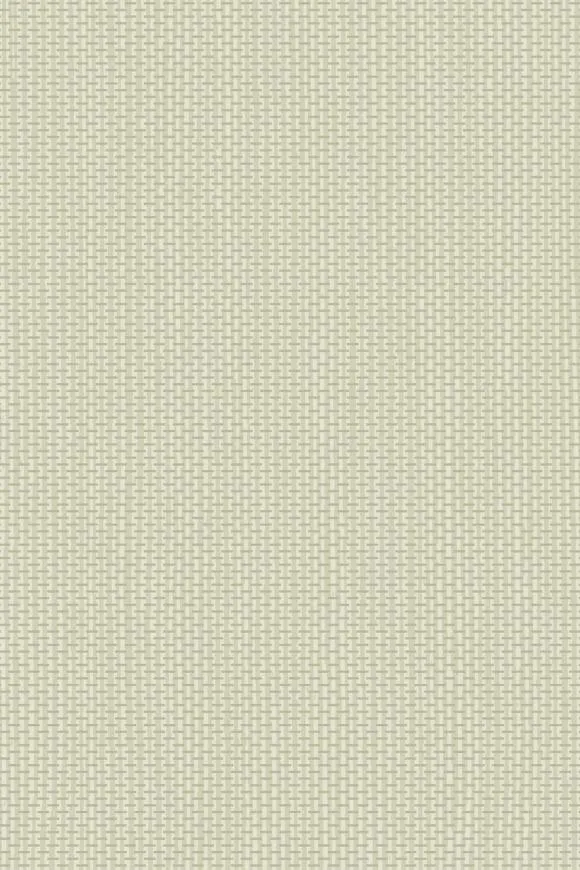 Обои для стен Arte Contract Arundo 67750