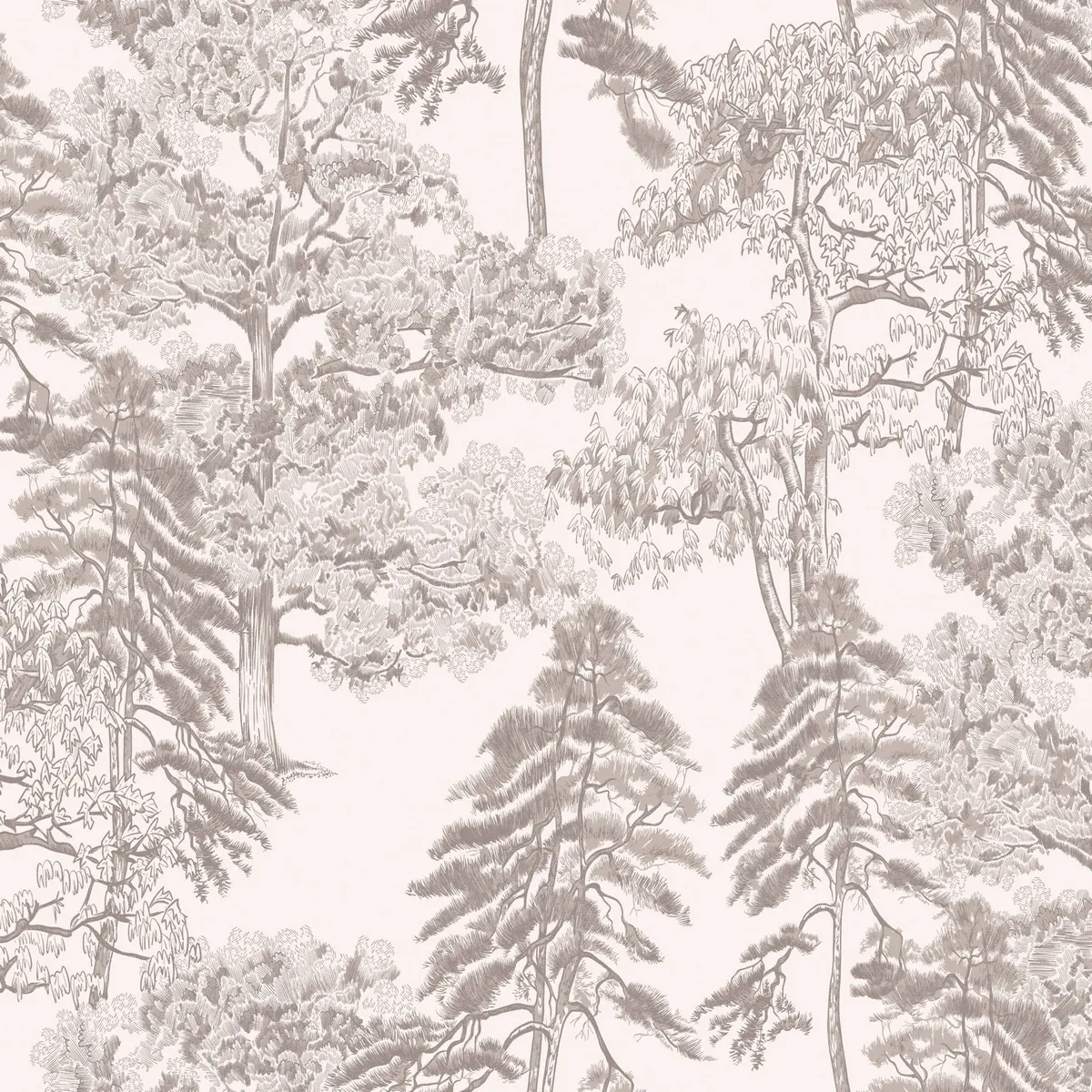 Обои для стен Milassa Ambient vol.4 Am5001_1