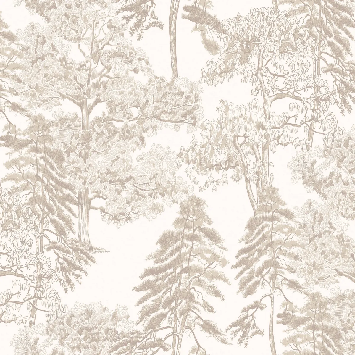 Обои для стен Milassa Ambient vol.4 Am5002_2