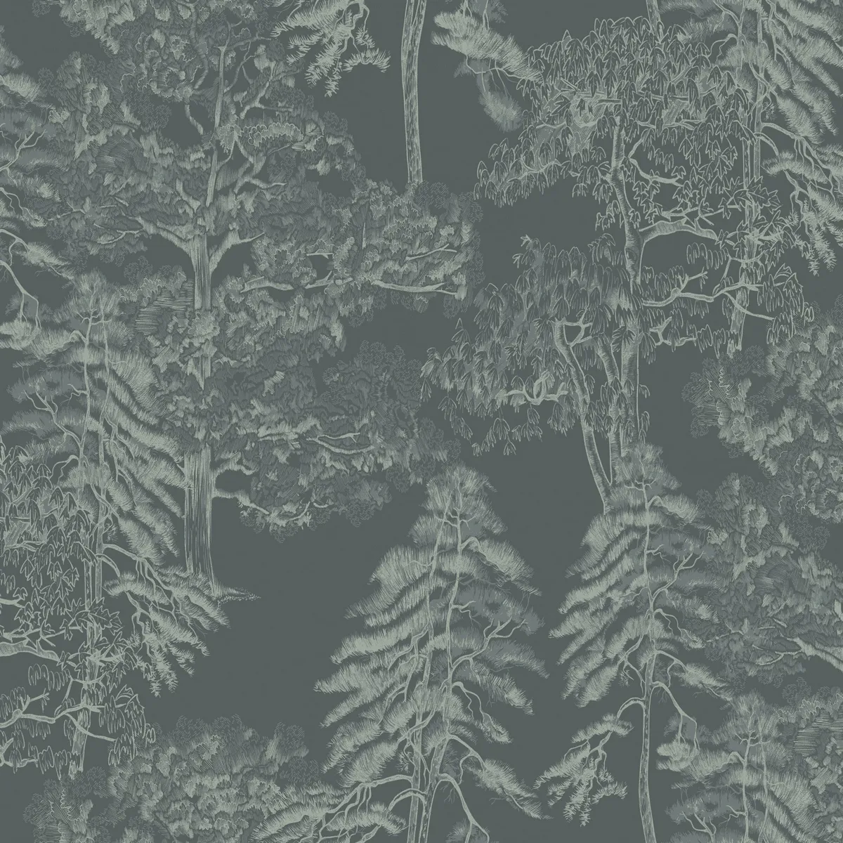 Обои для стен Milassa Ambient vol.4 Am5008