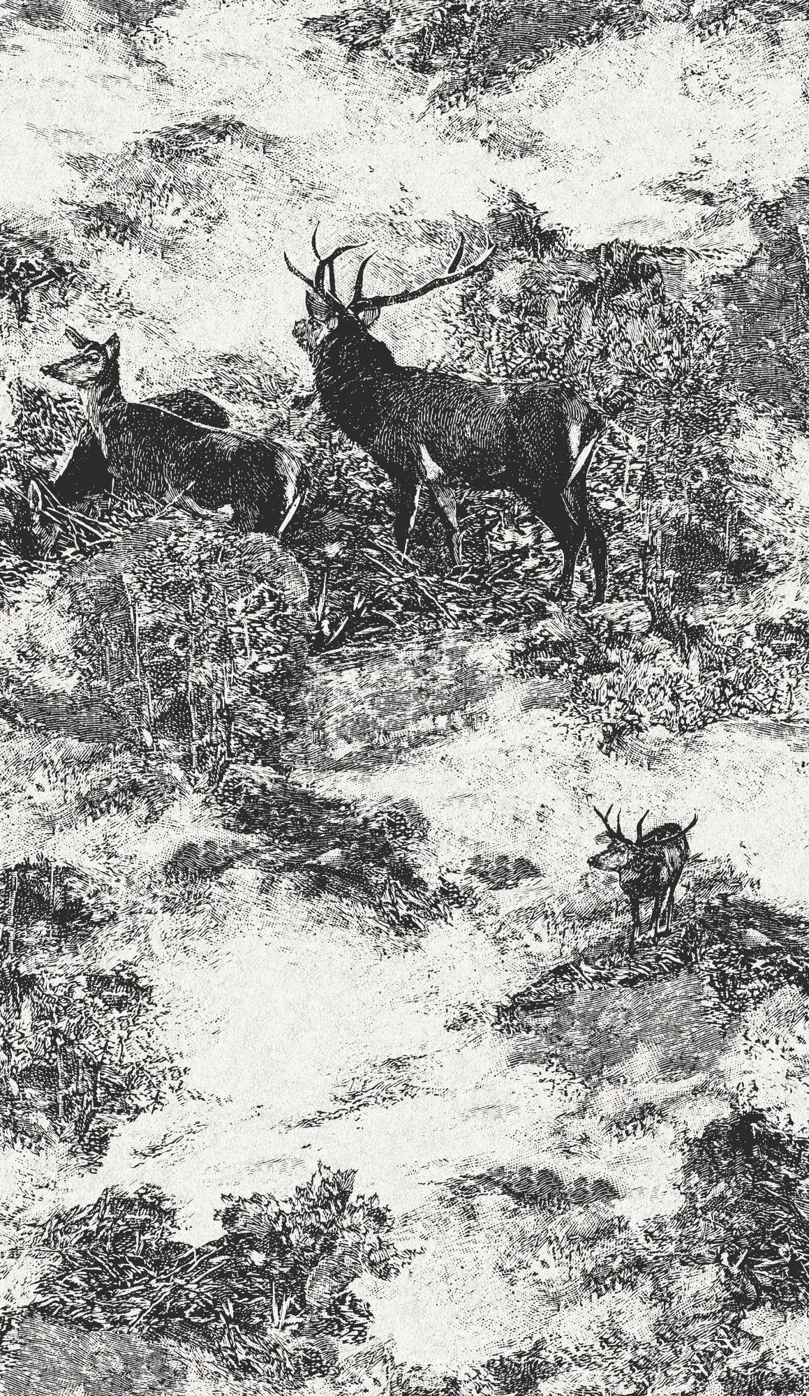 Обои для стен Architector Sauvage II KT40600