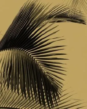 Обои для стен Caselio Moonlight 101292098