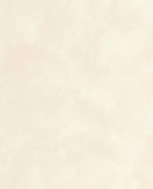 Обои для стен Caselio Origine 106080000