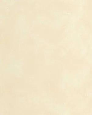 Обои для стен Caselio Origine 106081010