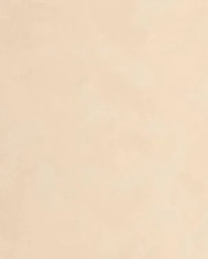 Обои для стен Caselio Origine 106081244