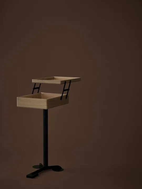 Журнальный столик Comodo_Storage_Natural_Oak #5