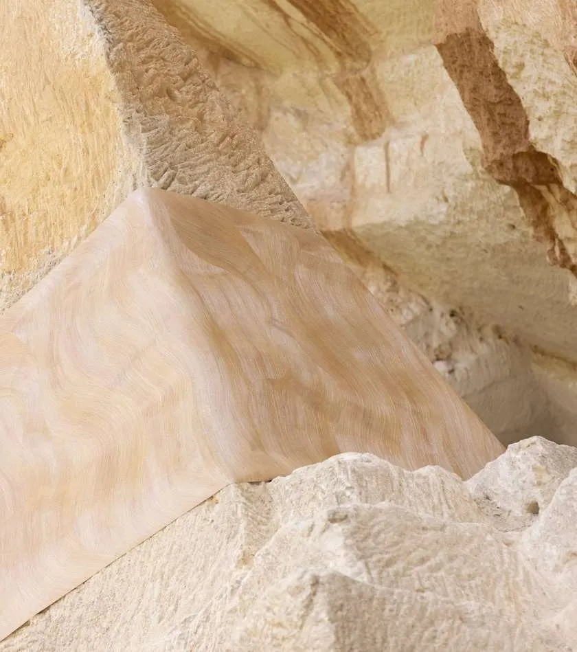 Обои для стен Elitis Lanzarote vp-1028-03 #4