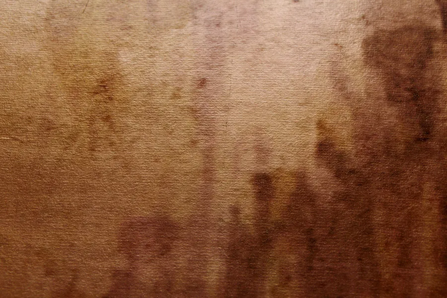 Обои для стен Welter Metal Leafs 8_j1914-0814