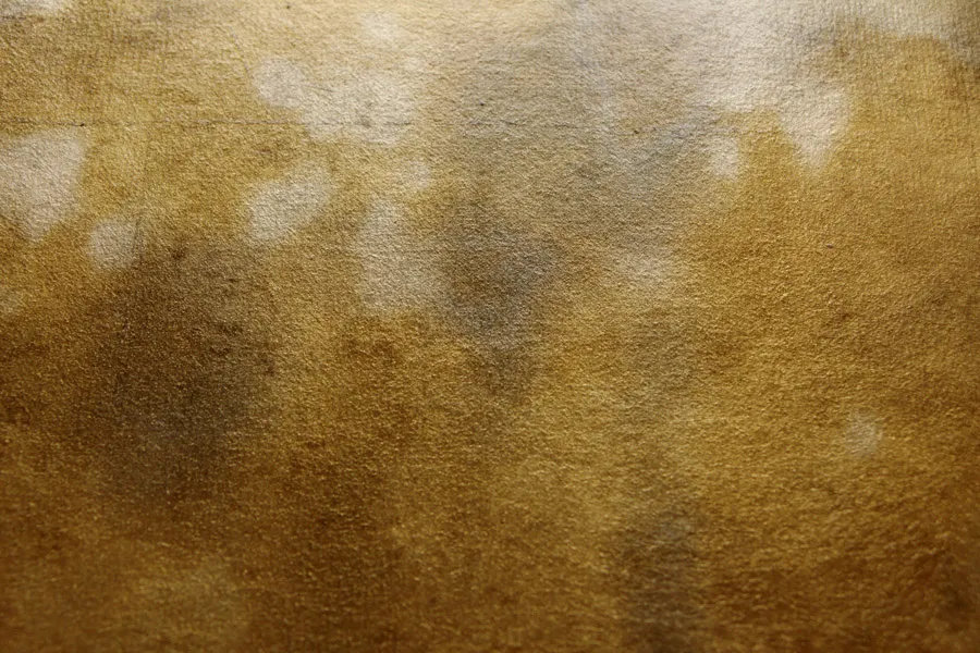 Обои для стен Welter Metal Leafs 9_j1911-0812