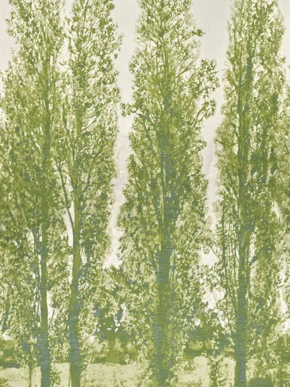 Ткань Pierre Frey Jardin A La Francaise F4093001