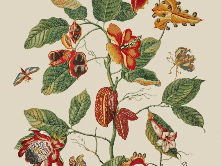 Ткань Pierre Frey Jardin A La Francaise O7963001