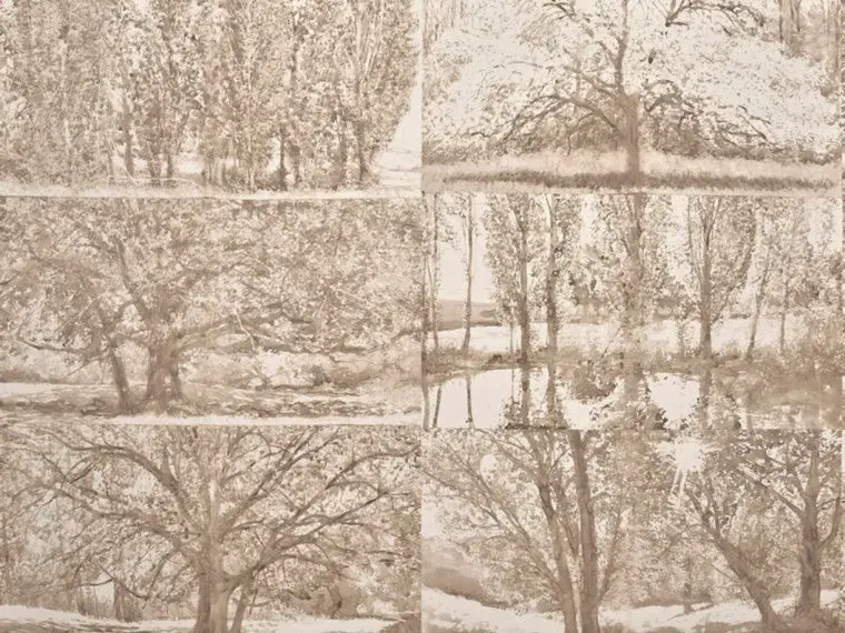 Обои для стен Pierre Frey Cappuccino Wallpapers FP235001