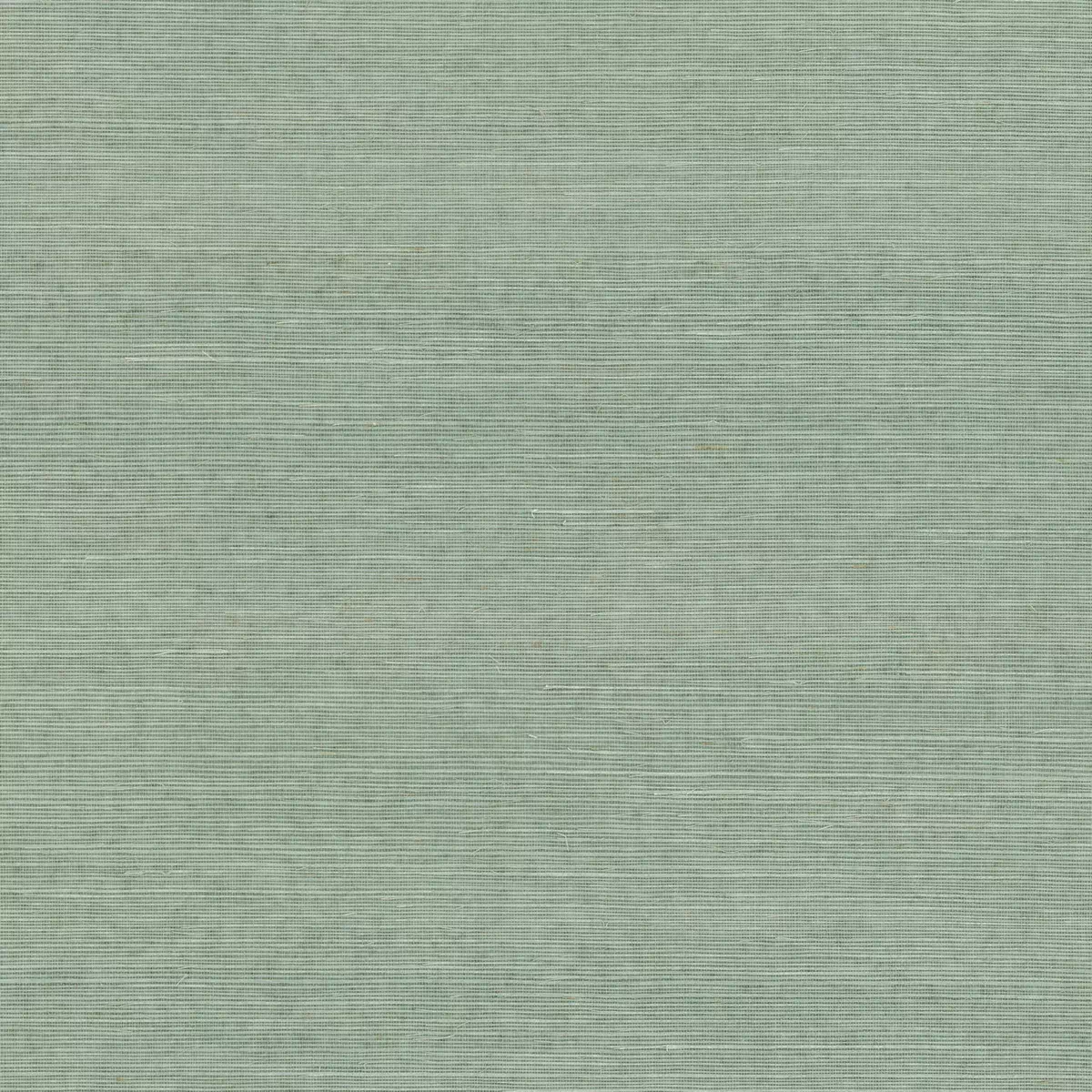 null #2
