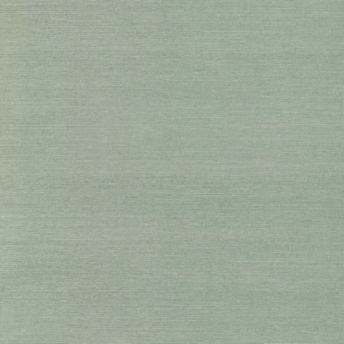 null #7