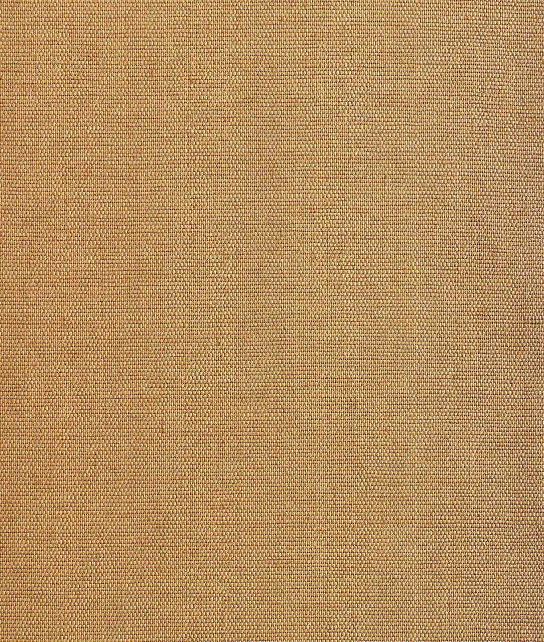 Обои для стен Dedar Didgeridoo Wall 02D2300200006